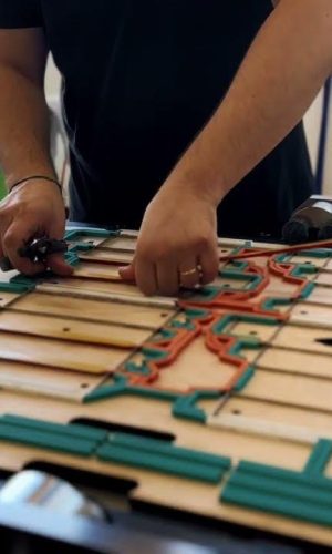 Profesional del troquelado